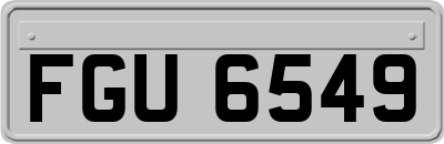 FGU6549