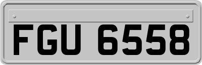 FGU6558
