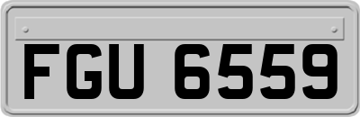 FGU6559