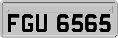 FGU6565