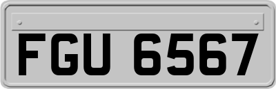 FGU6567