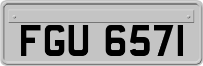 FGU6571