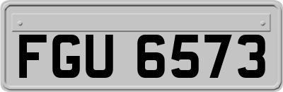 FGU6573