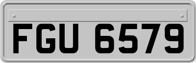 FGU6579