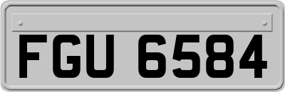FGU6584
