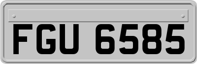 FGU6585