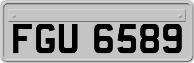 FGU6589
