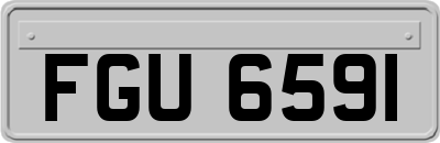 FGU6591