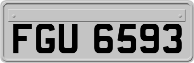 FGU6593