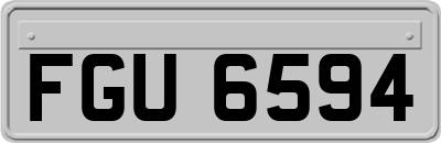 FGU6594
