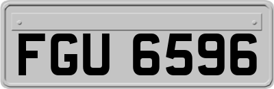 FGU6596