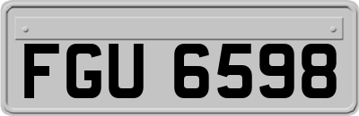 FGU6598