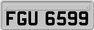 FGU6599