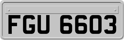 FGU6603