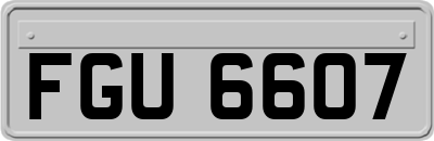 FGU6607