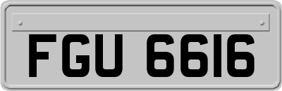 FGU6616