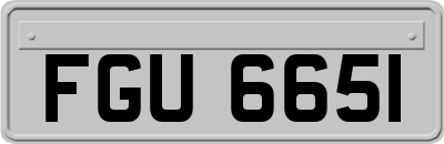 FGU6651