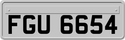 FGU6654