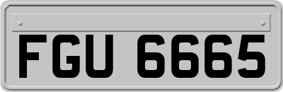 FGU6665