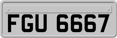 FGU6667
