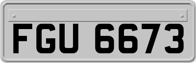 FGU6673