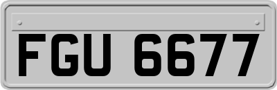 FGU6677