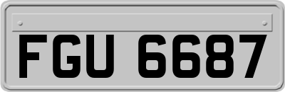 FGU6687