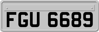 FGU6689