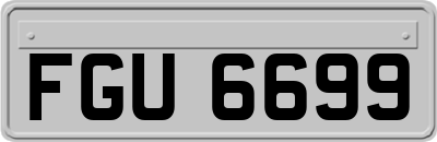 FGU6699