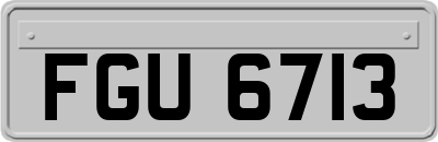 FGU6713