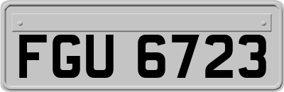 FGU6723
