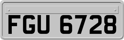 FGU6728