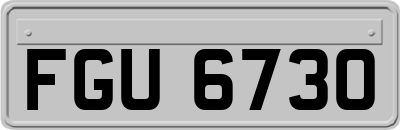 FGU6730