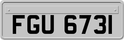 FGU6731