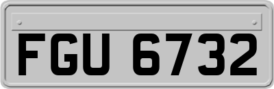 FGU6732