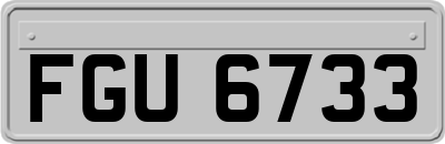 FGU6733