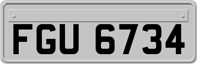 FGU6734