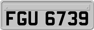 FGU6739