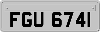 FGU6741