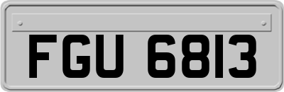 FGU6813