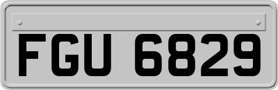 FGU6829
