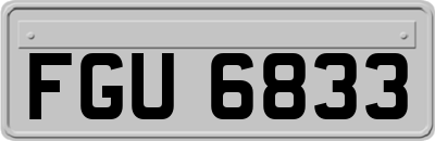 FGU6833