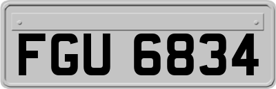 FGU6834