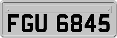 FGU6845