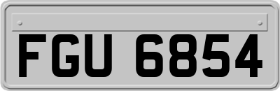 FGU6854