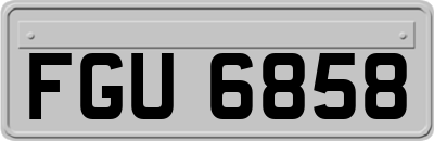 FGU6858