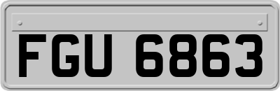 FGU6863