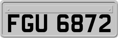 FGU6872