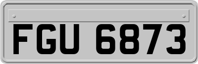 FGU6873