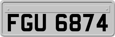 FGU6874